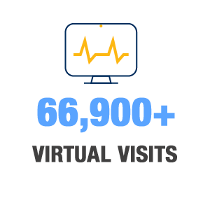 sixty-six-thousand-nine-hundred-virtual-visits